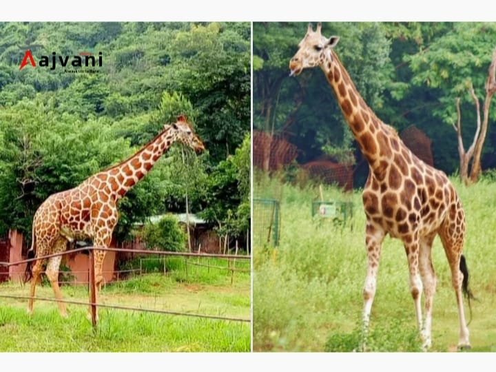 Visakhapatnam Zoo Travel Guide 2025: टिकट, टाइमिंग, जानवर और खासियतें!