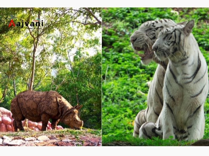 Visakhapatnam Zoo Travel Guide 2025: टिकट, टाइमिंग, जानवर और खासियतें!