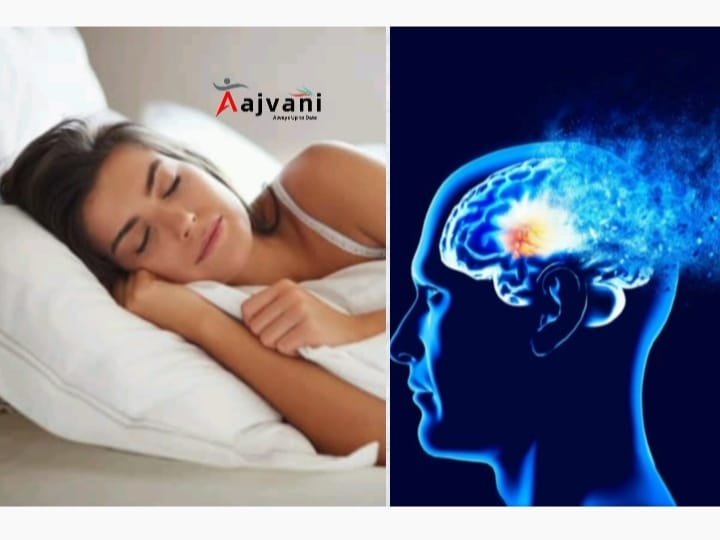 Sleep Brain Circuit मिला! नींद की कमी के बाद मस्तिष्क कैसे करता है रिकवरी?