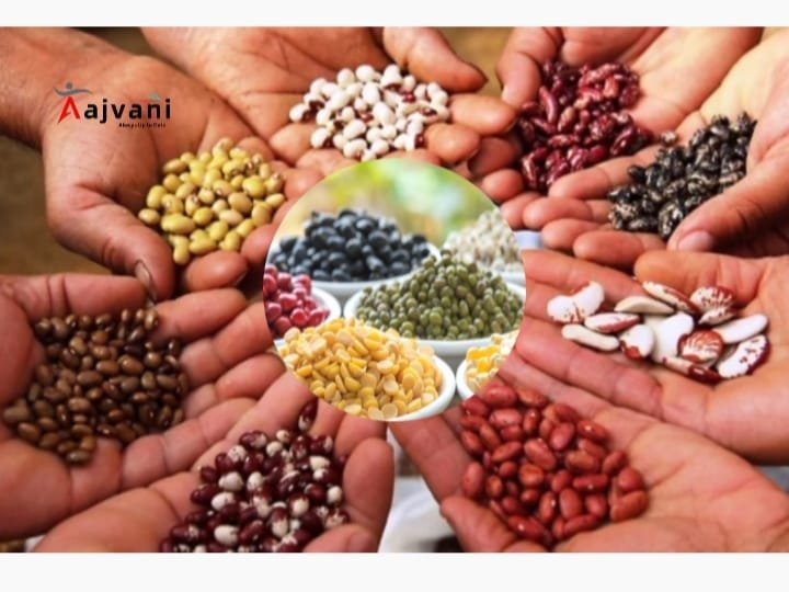 Beej Utsav 2025: भारत के Tribal Farmers का Seed Festival जो बदल रहा है खेती का भविष्य