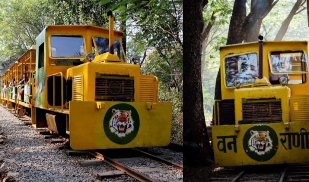 Van Rani की भव्य वापसी