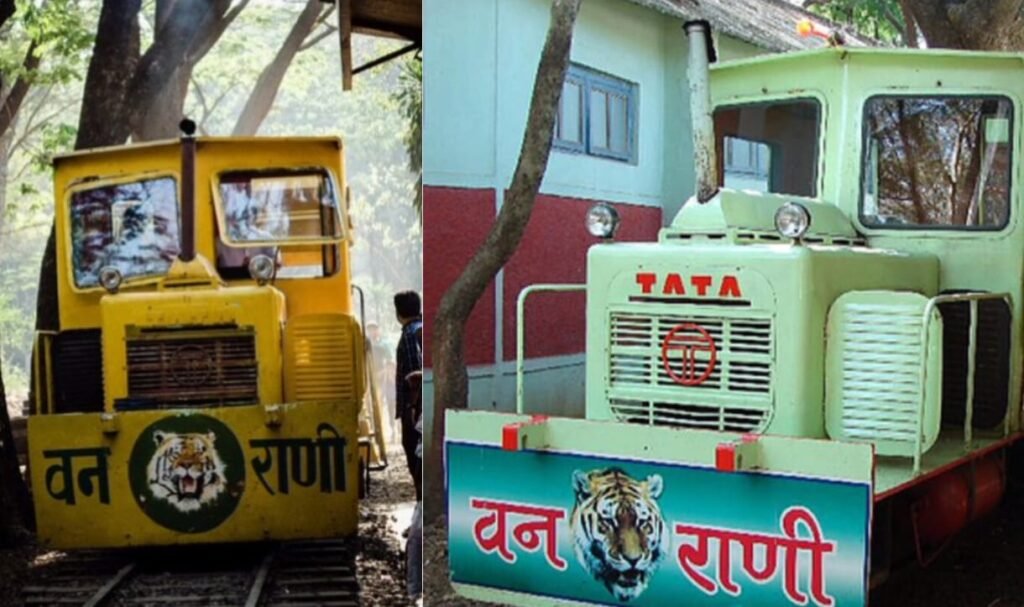 Van Rani की भव्य वापसी