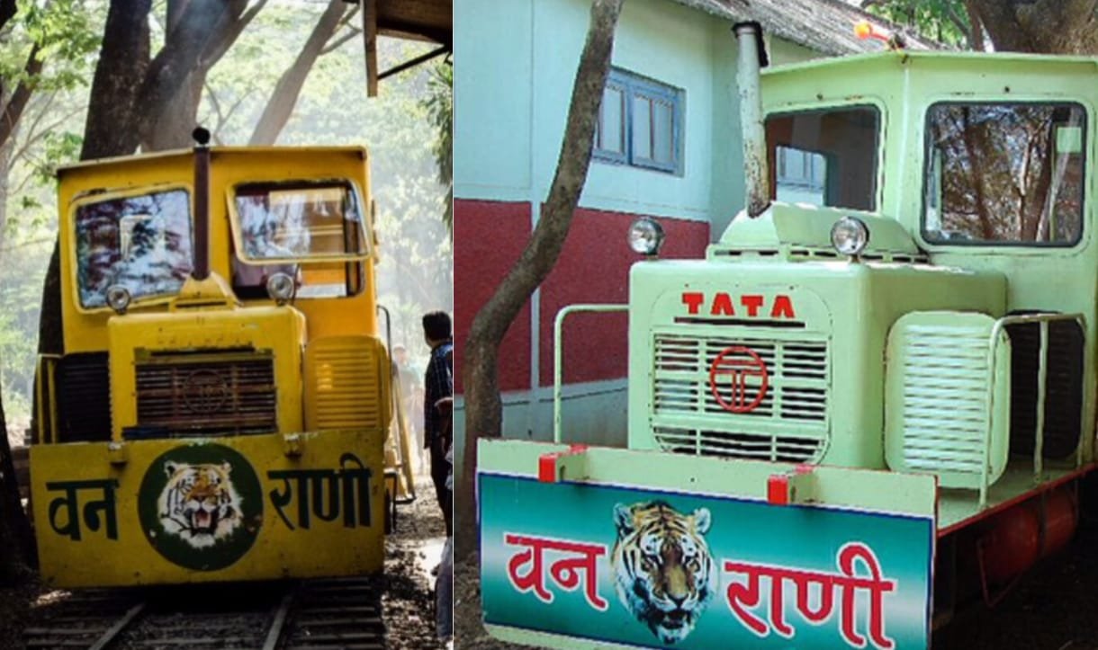 Van Rani की भव्य वापसी