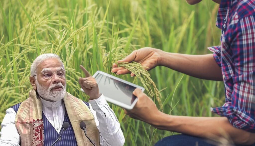 Nimadfresh Krushi Vikas Farmer Producer Company Limited Kabuli Chana