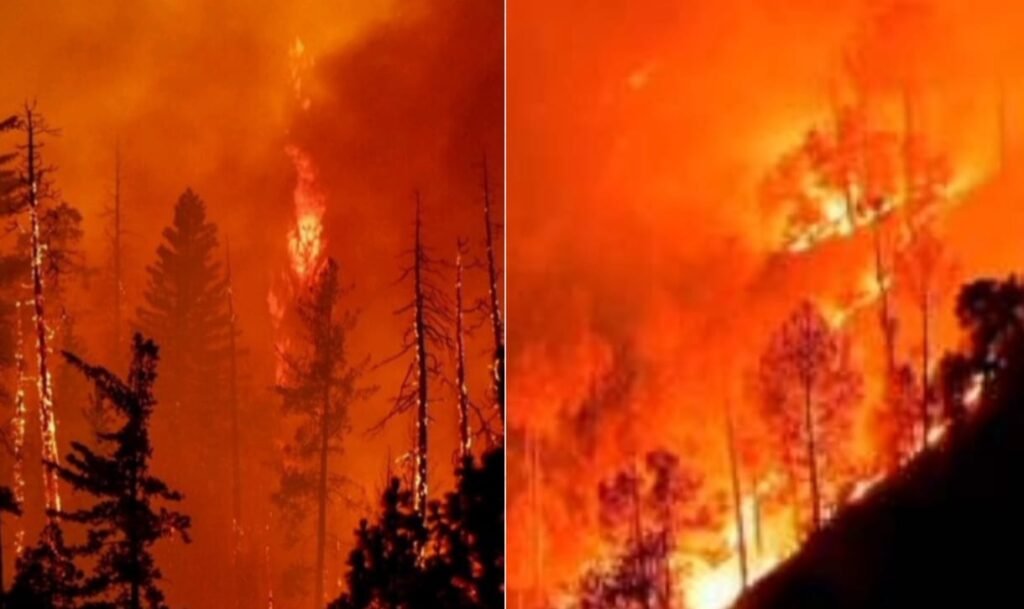 ग्रीस में जंगली आग