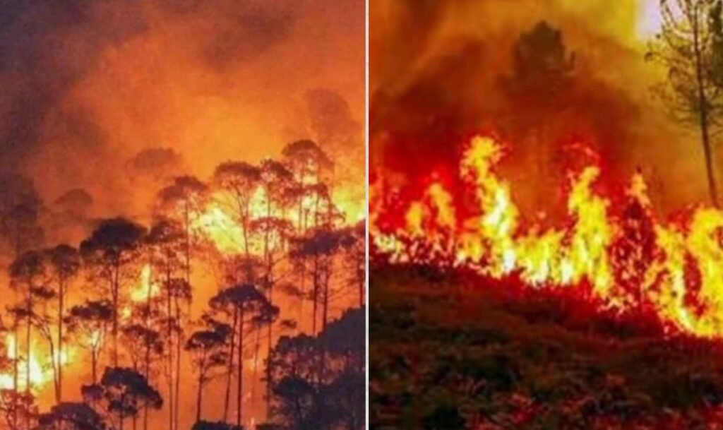 ग्रीस में जंगली आग