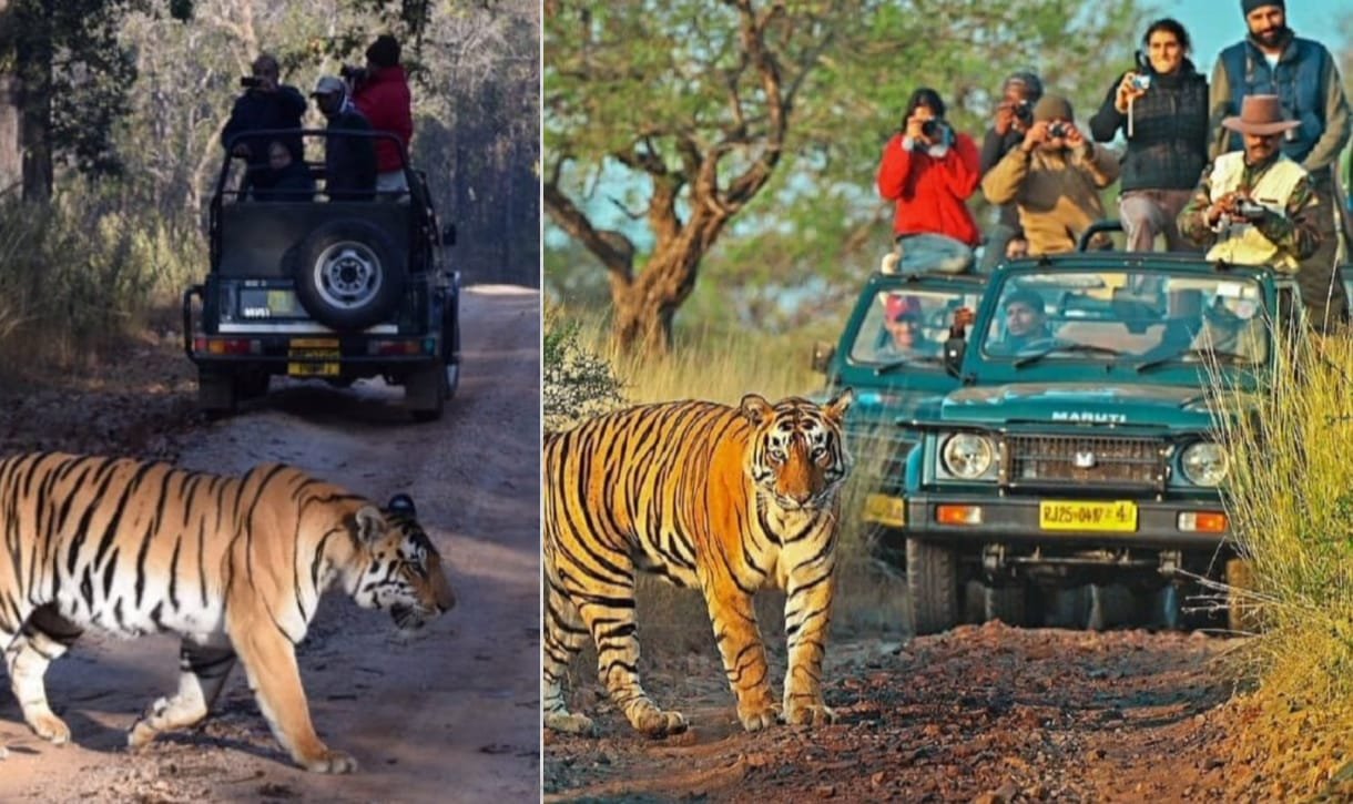 रणथम्भौर टाइगर रिज़र्व