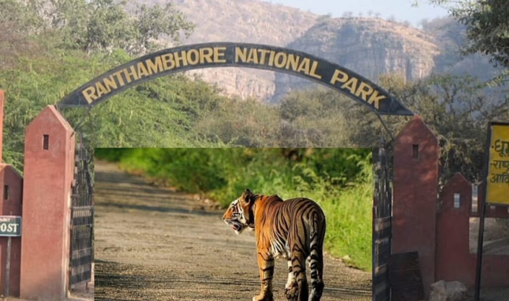 रणथम्भौर टाइगर रिज़र्व 