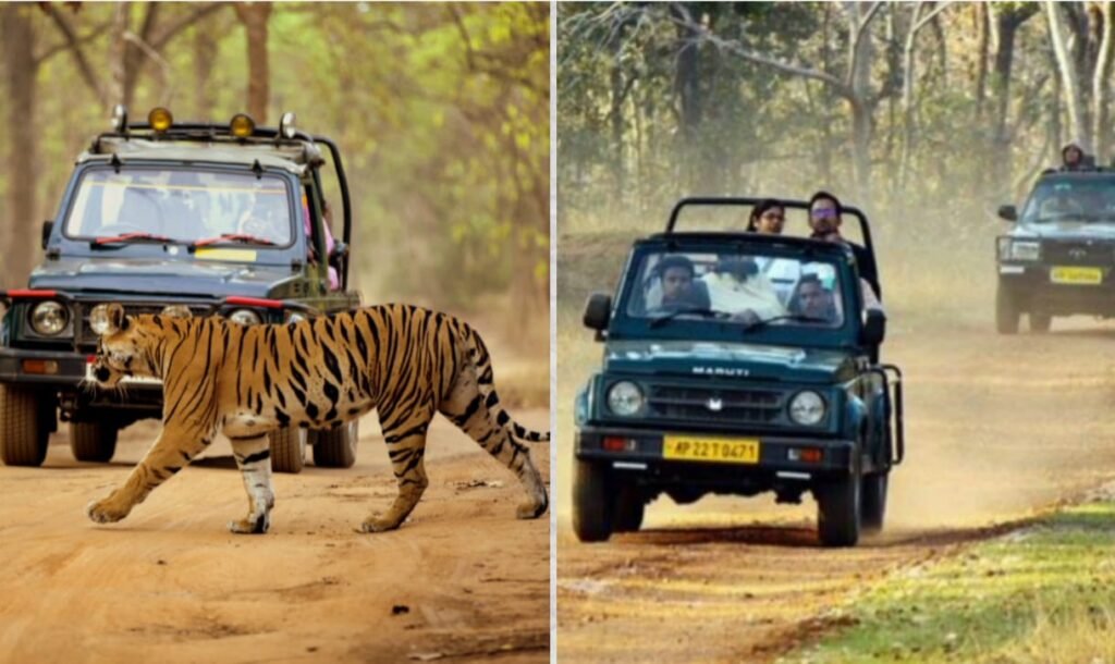 Tadoba Tiger Reserve