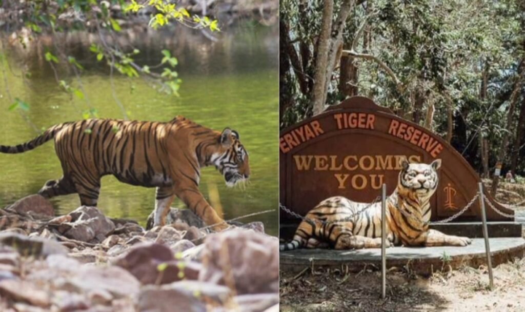 पेरियार टाइगर रिज़र्व 