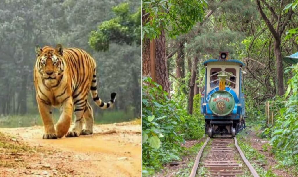 मेलघाट टाइगर रिज़र्व 