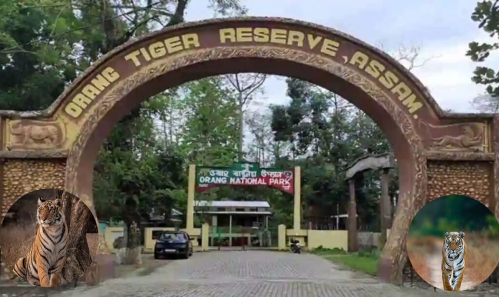 ओरांग टाइगर रिज़र्व