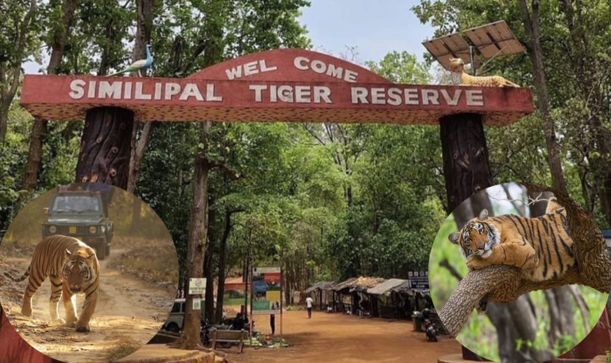 Similipal Tiger Reserve