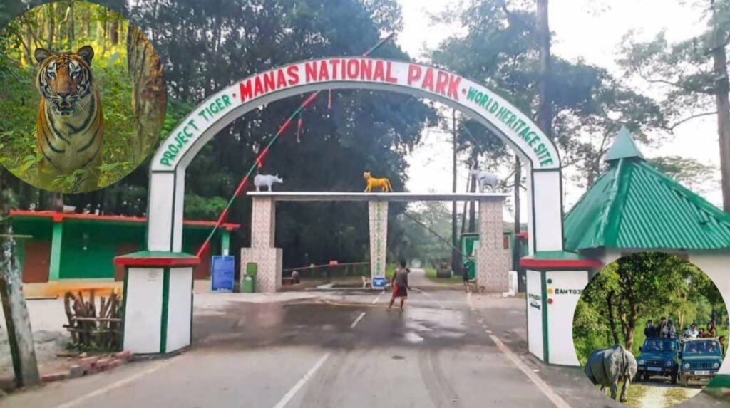Manas Tiger Reserve