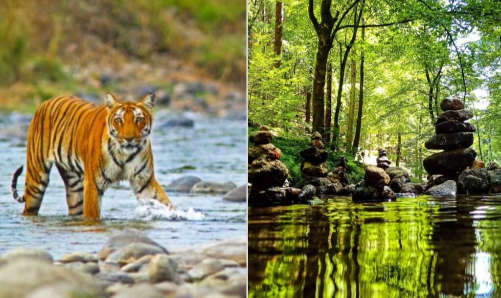 बालपक्रम टाइगर रिज़र्व