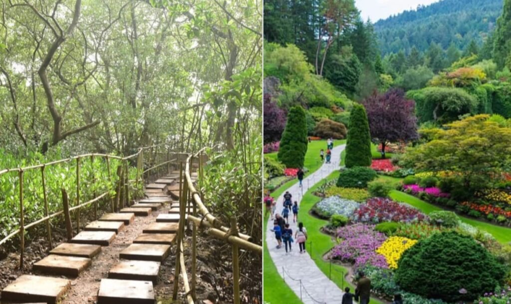 सलीम अली राष्ट्रीय उद्यान 