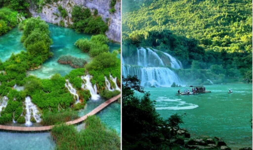 मन्नार मैरिन राष्ट्रीय उद्यान – समुद्री पर्यटन और संरक्षण का प्रमुख स्थल 2 मन्नार मैरिन राष्ट्रीय उद्यान