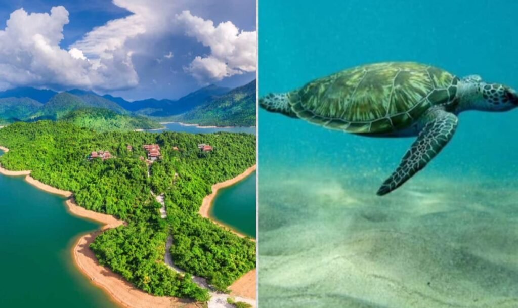 मन्नार मैरिन राष्ट्रीय उद्यान – समुद्री पर्यटन और संरक्षण का प्रमुख स्थल 1 मन्नार मैरिन राष्ट्रीय उद्यान