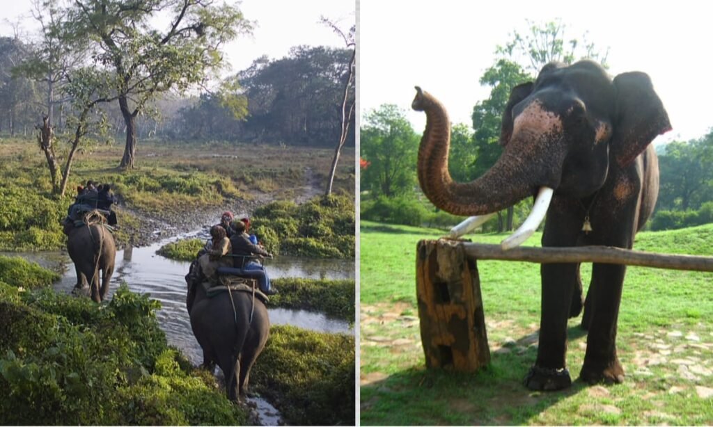 मुदुमलाई राष्ट्रीय उद्यान 