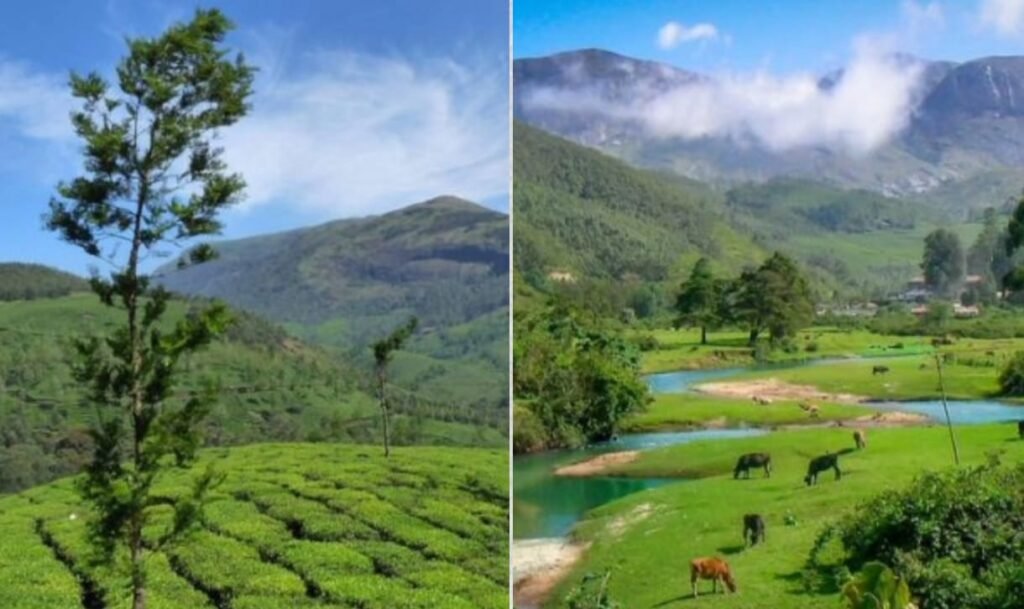 अन्नामुड़ी राष्ट्रीय उद्यान