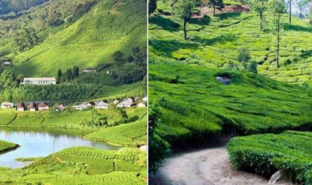 इराविकुलम राष्ट्रीय उद्यान 2025