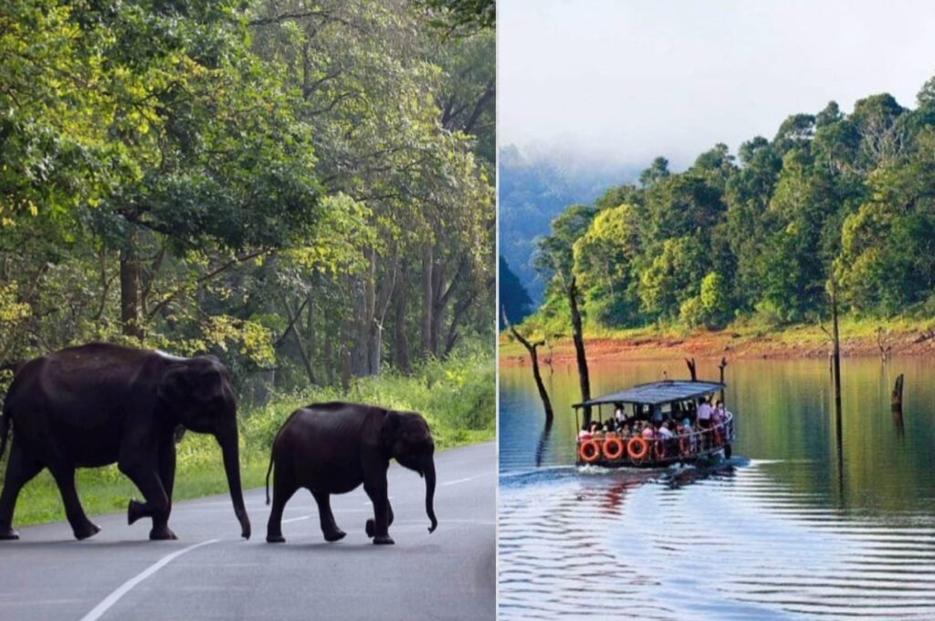 मथिकततन शोला राष्ट्रीय उद्यान