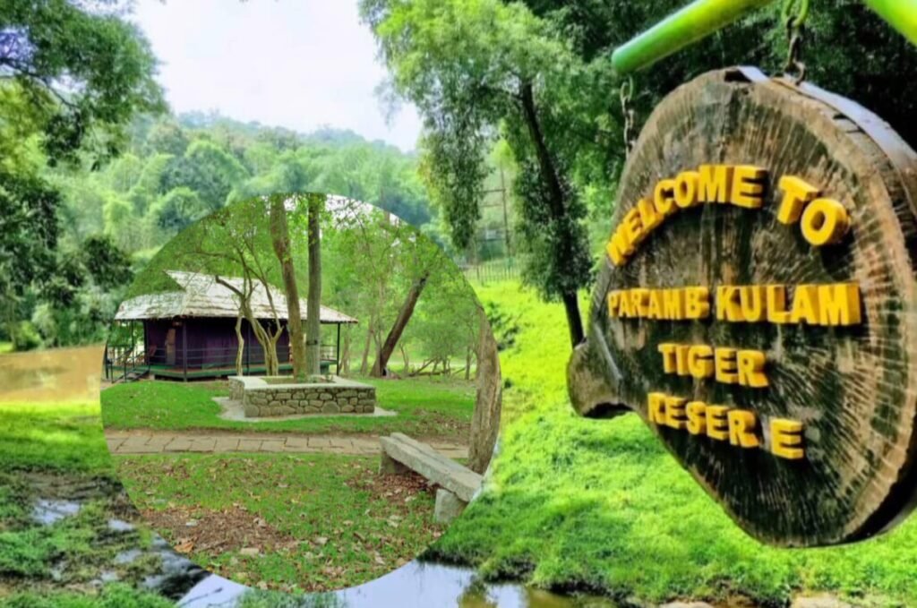 पराम्बिकुलम शोला राष्ट्रीय उद्यान