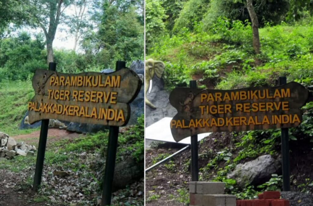 पराम्बिकुलम शोला राष्ट्रीय उद्यान