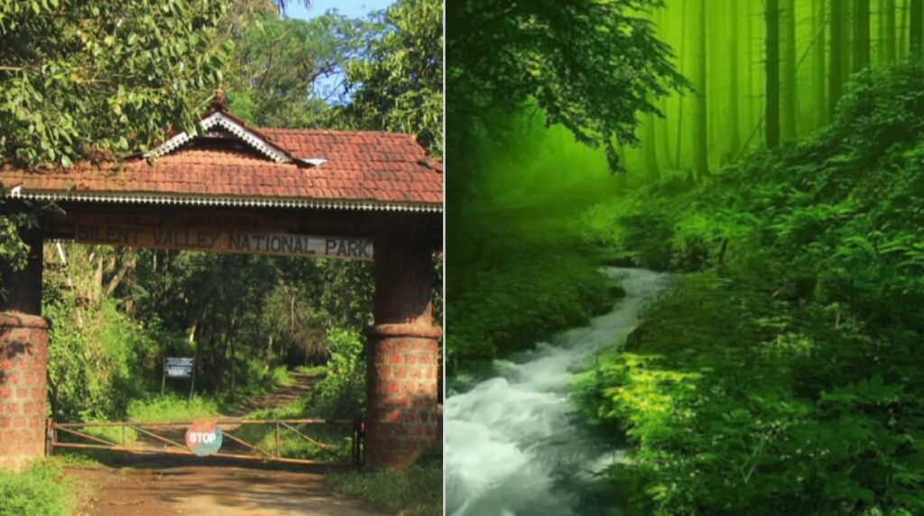 साइलेंट वैली राष्ट्रीय उद्यान 