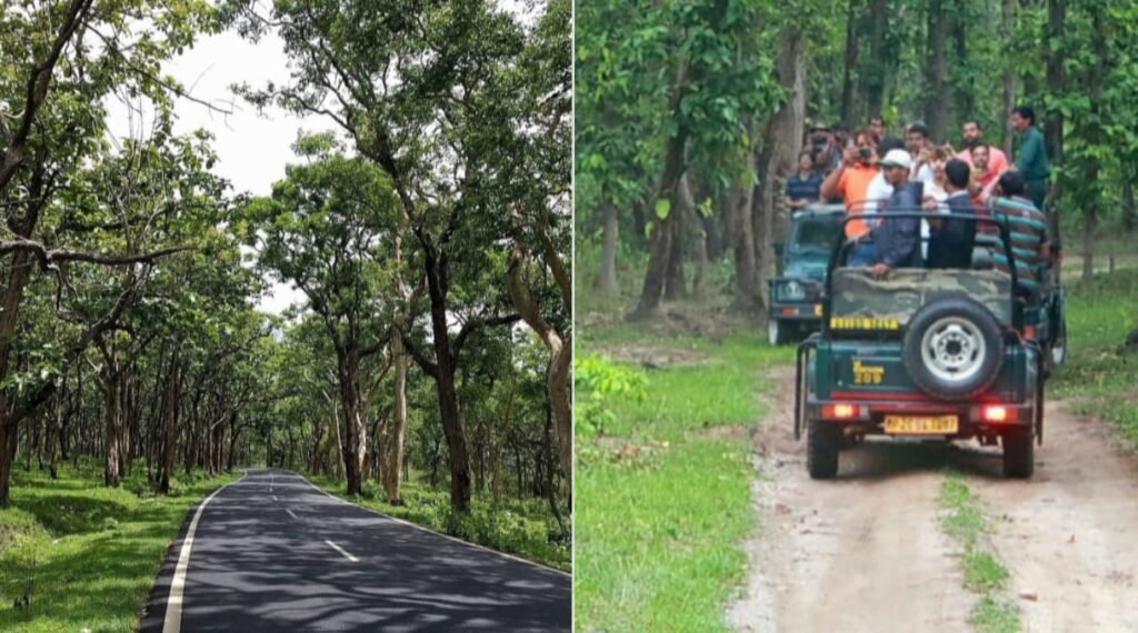 बांदीपुर राष्ट्रीय उद्यान