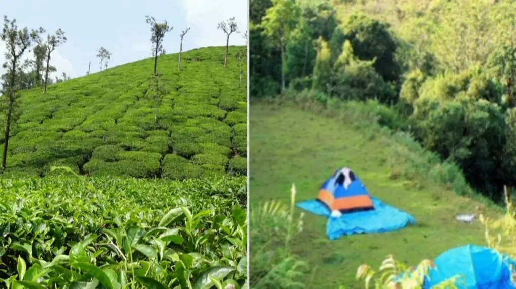 कुदरेमुख राष्ट्रीय उद्यान 