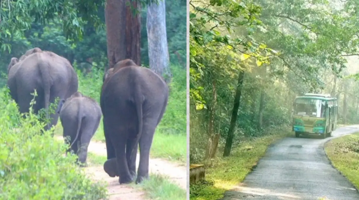 कालेश्वर राष्ट्रीय उद्यान