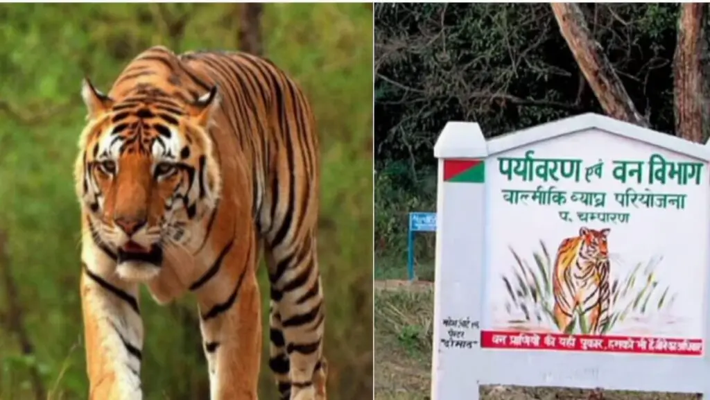 वाल्मीकि राष्ट्रीय उद्यान 