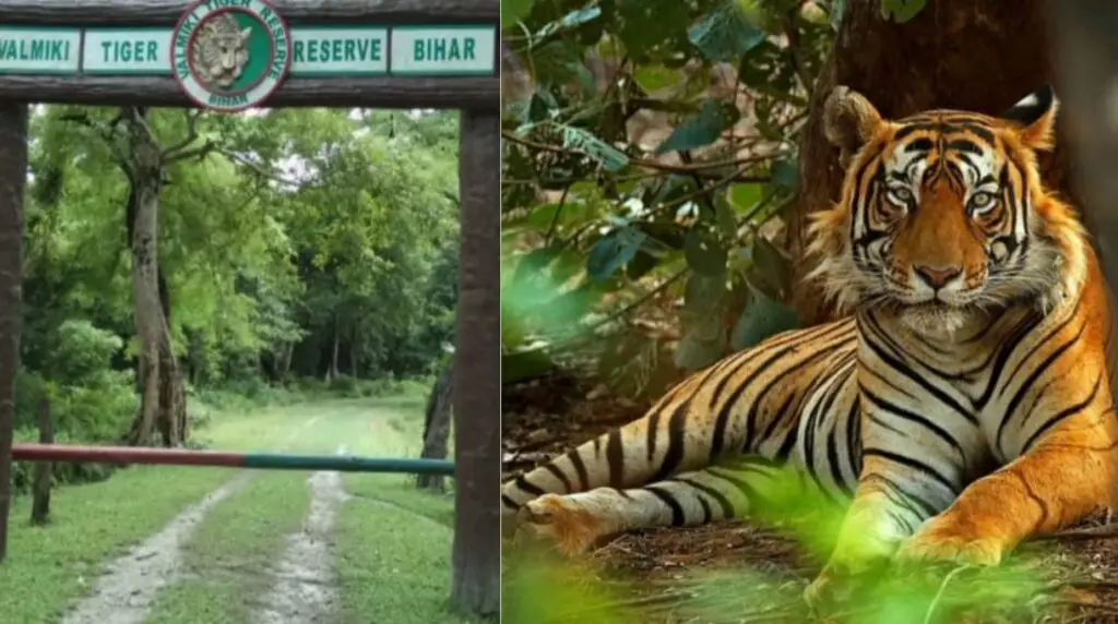 वाल्मीकि राष्ट्रीय उद्यान