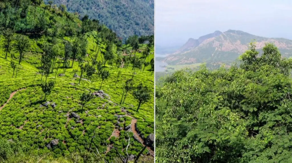 पालनी हिल्स हिल स्टेशन