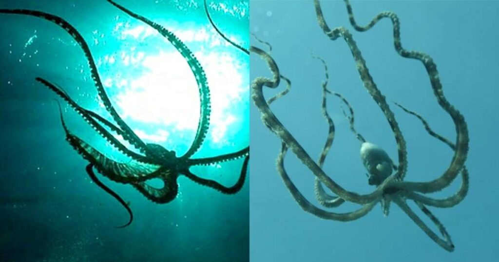Mimic Octopus: 15+ जानवरों का रूप बदलने वाला चमत्कारी ऑक्टोपस