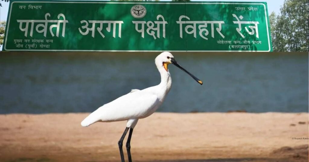 पार्वती-अरगा पक्षी अभयारण्य क्यों है खास? जानिए रामसर साइट का पूरा महत्व 2 पार्वती-अरगा पक्षी अभयारण्य क्यों है खास