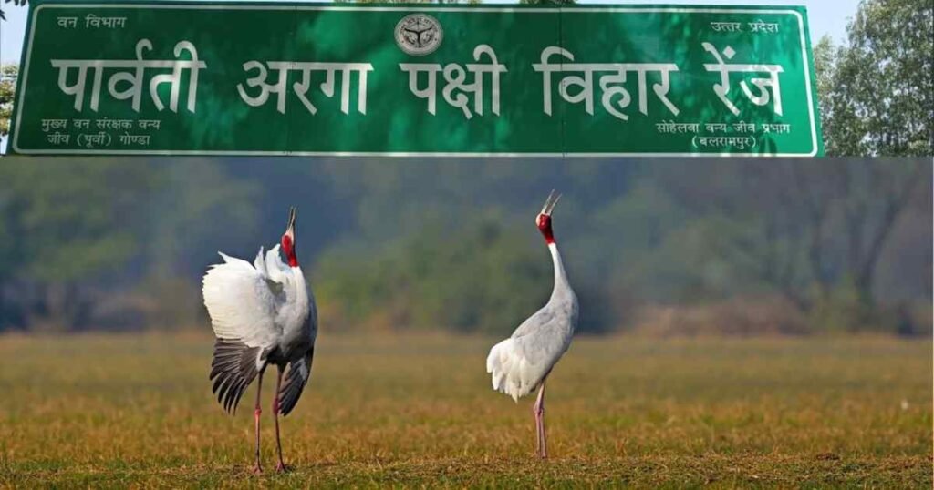 पार्वती-अरगा पक्षी अभयारण्य क्यों है खास? जानिए रामसर साइट का पूरा महत्व 1 पार्वती-अरगा पक्षी अभयारण्य क्यों है खास