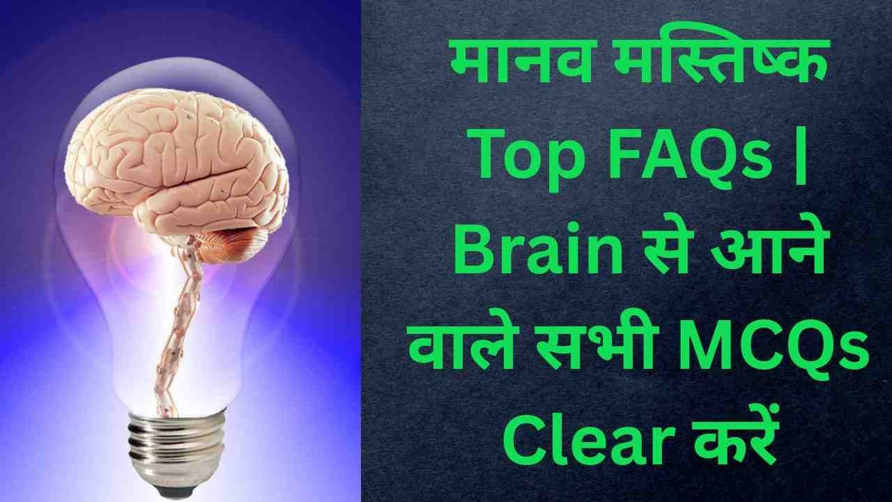 मानव मस्तिष्क Complete FAQs | RRB ALP, NTPC, Group-D