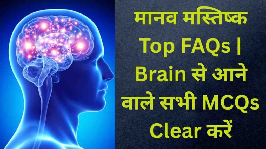 मानव मस्तिष्क Complete FAQs | RRB ALP, NTPC, Group-D 
